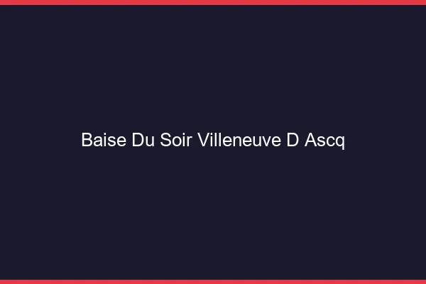 Baise Tonight Villeneuve-d'Ascq
